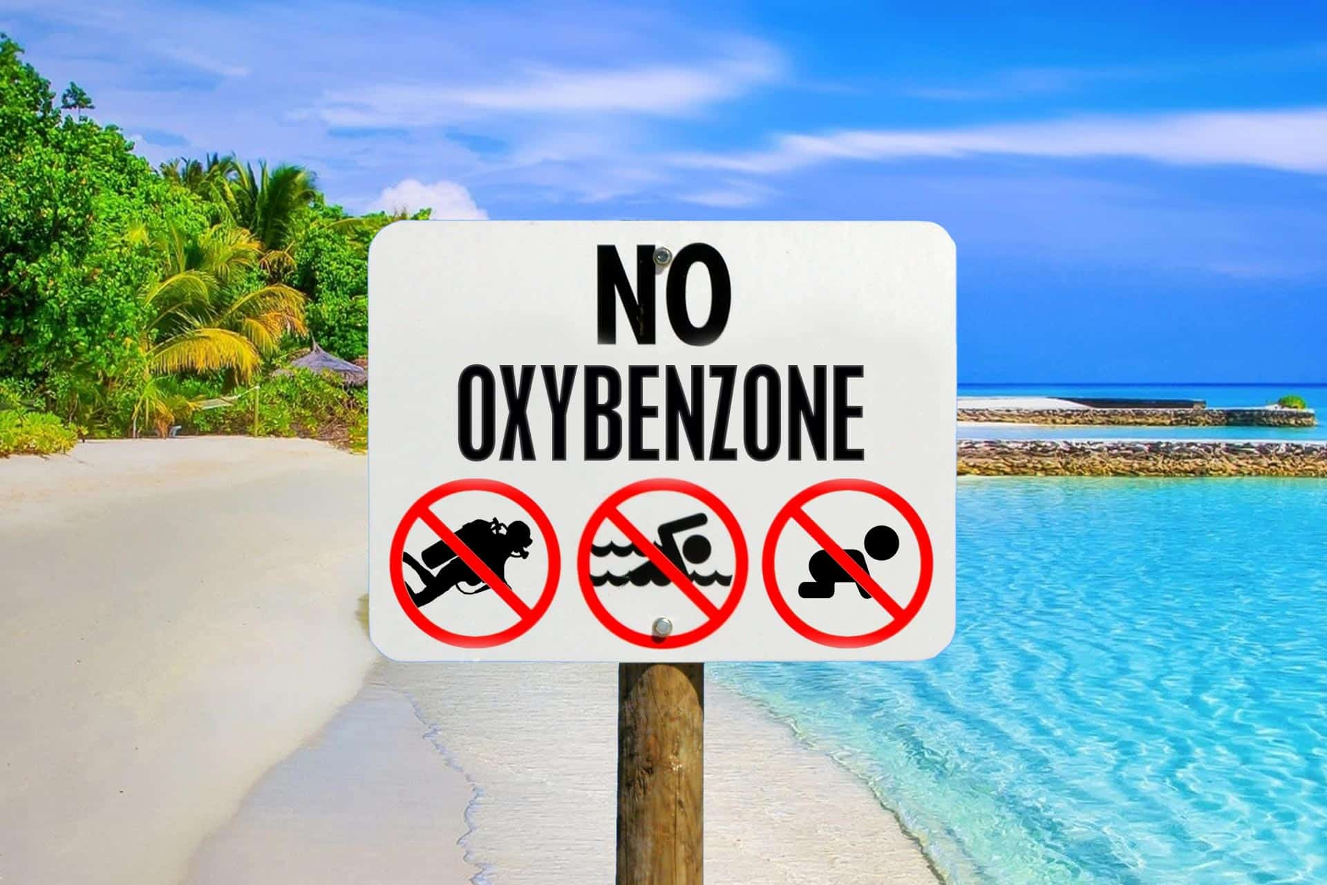Oxybenzone trong kem chống nắng có thể gây tác động xấu cho môi trường